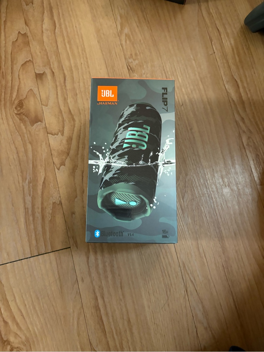 JBL Flip 7 Portable Speaker - Black & Teal Accents